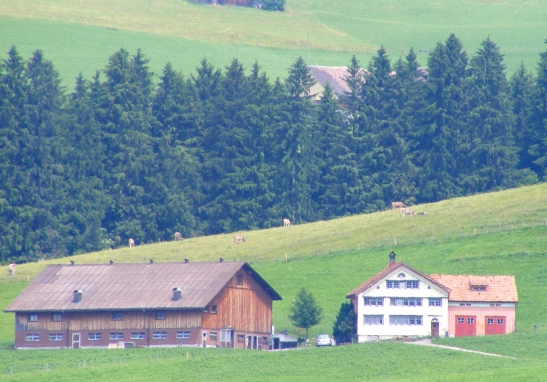 Swiss Farm