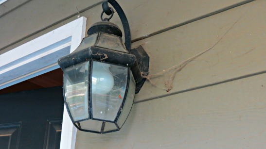 cobwebs lamp